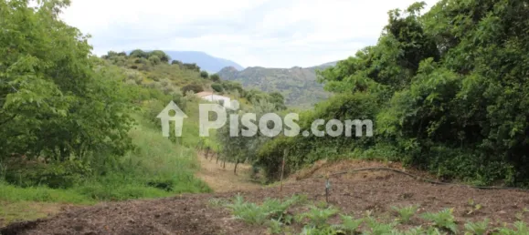 3 Schlafzimmer Haus in Cadiz, Spain, Nr. 166908 46