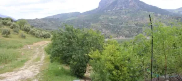 3 Schlafzimmer Haus in Cadiz, Spain, Nr. 166908 10