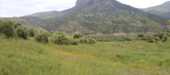 3 Schlafzimmer Haus in Cadiz, Spain, Nr. 166908 27