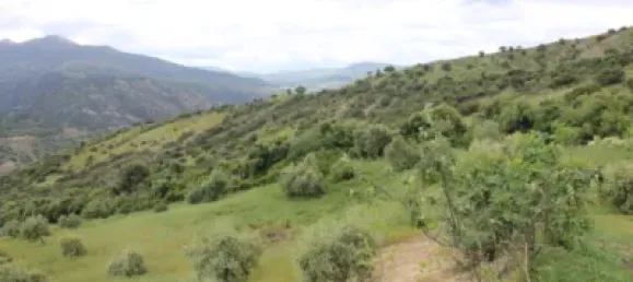 3 Schlafzimmer Haus in Cadiz, Spain, Nr. 166908 31