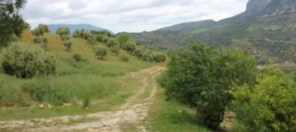 3 Schlafzimmer Haus in Cadiz, Spain, Nr. 166908 11