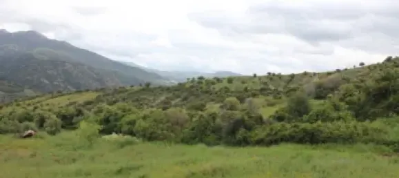 3 Schlafzimmer Haus in Cadiz, Spain, Nr. 166908 29