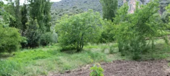 3 Schlafzimmer Haus in Cadiz, Spain, Nr. 166908 23