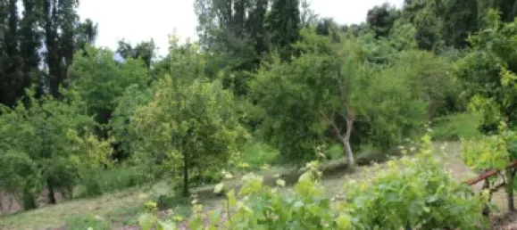 3 Schlafzimmer Haus in Cadiz, Spain, Nr. 166908 17