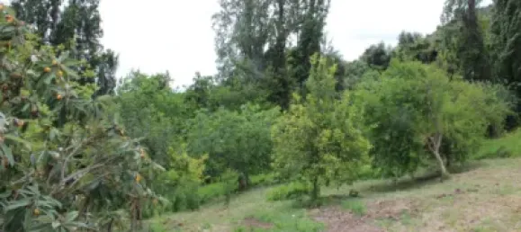 3 Schlafzimmer Haus in Cadiz, Spain, Nr. 166908 16