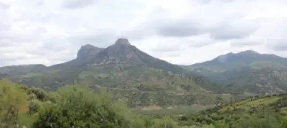 3 Schlafzimmer Haus in Cadiz, Spain, Nr. 166908 6