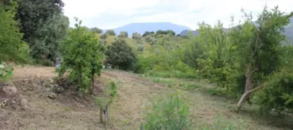3 Schlafzimmer Haus in Cadiz, Spain, Nr. 166908 19