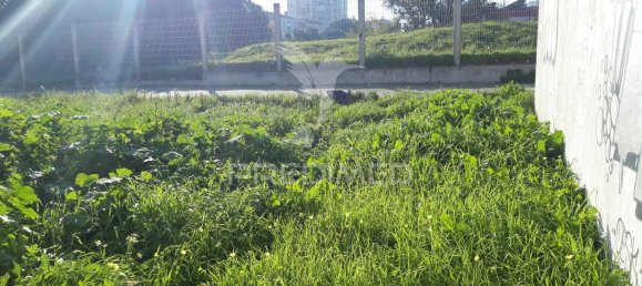  Land in Abrantes, Portugal No. 190409 10