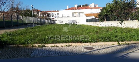 Land in Abrantes, Portugal No. 190409 4