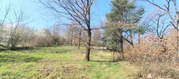 Terreno en Chateauneuf, France 2538 m² No. 203125 3