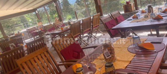 200m² Commercial property in Craveggia, Italy No. 331377 6