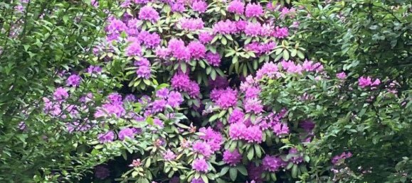 1 Schlafzimmer Haus in Lockenhaus, Austria, Nr. 225655 20