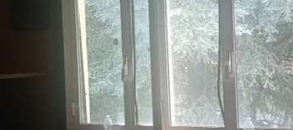 Квартира с 2 комнатами в Мальнате, Италия № 99358 9