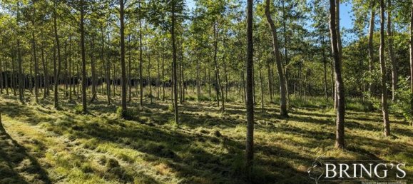 Земельный участок 47800м² в Сарта, Франция № 314426 11