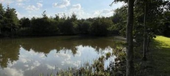 Земельный участок 47800м² в Сарта, Франция № 314426 16