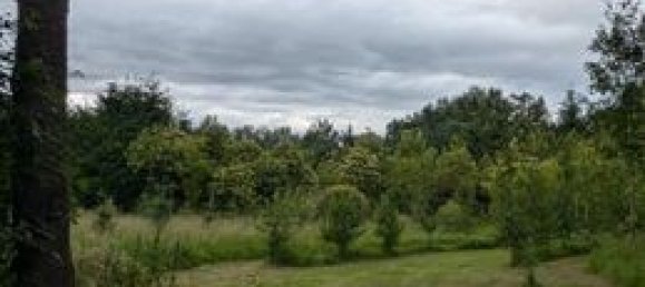 Земельный участок 47800м² в Сарта, Франция № 314426 8