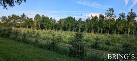 Земельный участок 47800м² в Сарта, Франция № 314426 7