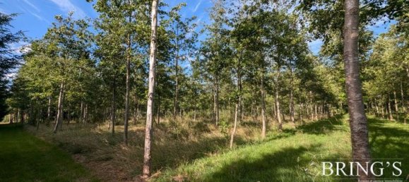 Земельный участок 47800м² в Сарта, Франция № 314426 15