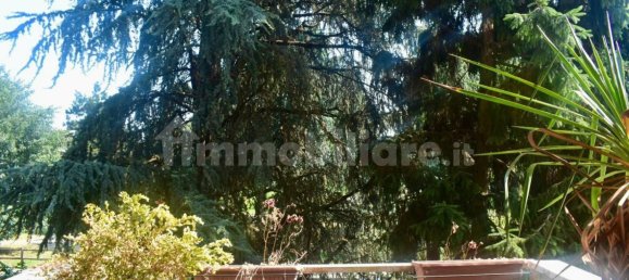 2 bedrooms Apartment in Beinasco, Italy No. 264102 26