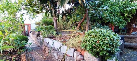 6 bedrooms House in Castelo Branco, Portugal No. 58542 9