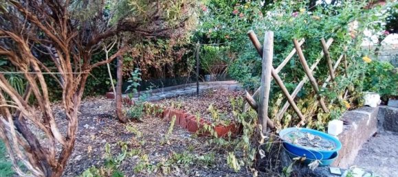 6 bedrooms House in Castelo Branco, Portugal No. 58542 6