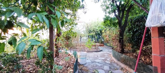 6 bedrooms House in Castelo Branco, Portugal No. 58542 8