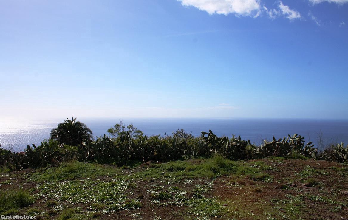 1320m² Land in Funchal, Portugal No. 292513