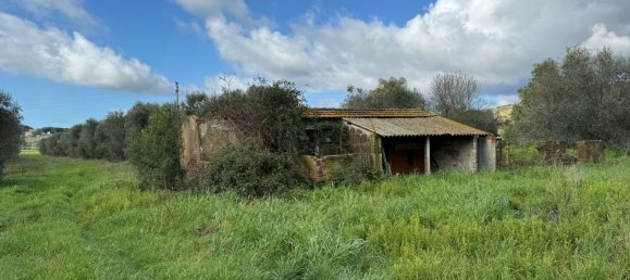 8 rooms House in Capalbio, Italy No. 283979 12