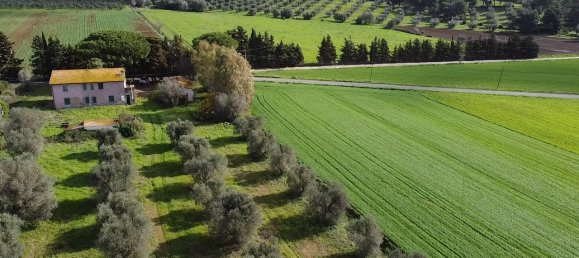 8 rooms House in Capalbio, Italy No. 283979 4