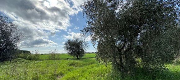 8 rooms House in Capalbio, Italy No. 283979 14