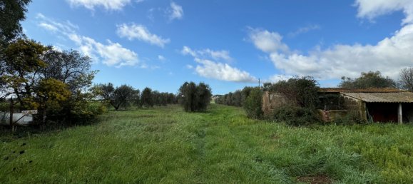 8 rooms House in Capalbio, Italy No. 283979 8