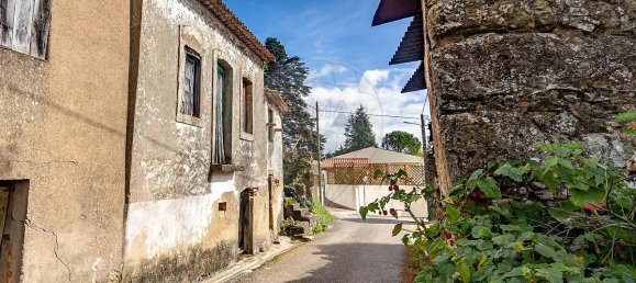 2 Schlafzimmer Haus in Lamas, Portugal, Nr. 24778 2