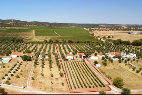 2 غرف نوم منزل في Redondo, Portugal رقم 89192