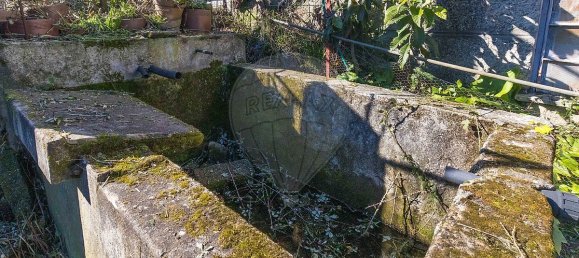 3 bedrooms House in Cinfaes, Portugal No. 168694 19