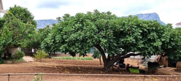 Terreno en La Valette-du-Var, France 500 m² No. 339796 2
