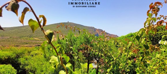 2 rooms Apartment in Stintino, Italy No. 168933 15