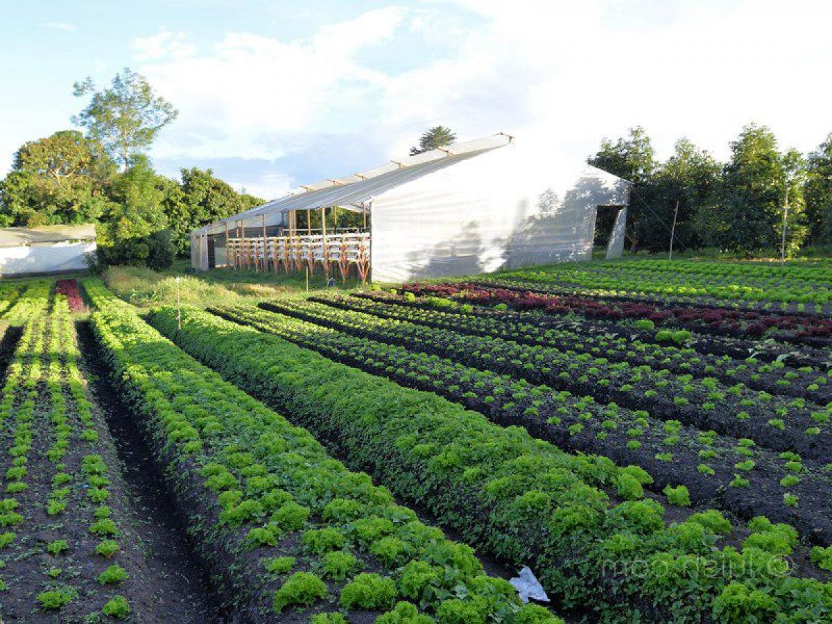  Land in Antioquia, Colombia No. 168