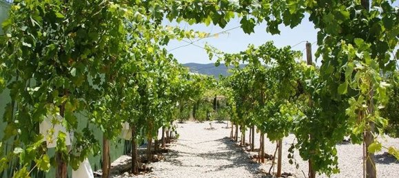 Дом с 5 спальнями в Хондон де Лас Ньевес, Испания № 67479 25