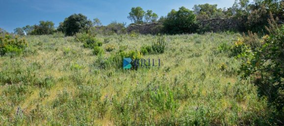 Grundstück in Arzachena, Italy 107829m², Nr. 327002 11