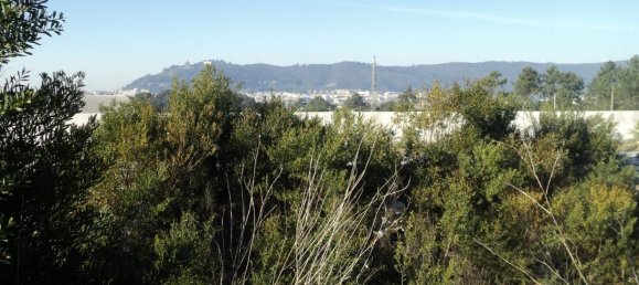 Terrain à Anha, Portugal No. 71841 7