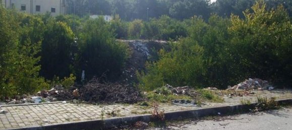 Terrain à Anha, Portugal No. 71841 4