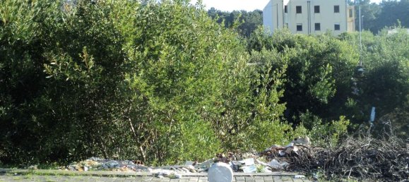 Terrain à Anha, Portugal No. 71841 6