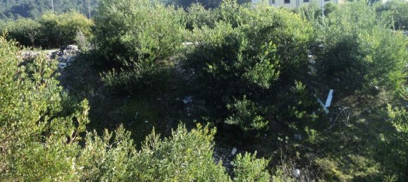 Terrain à Anha, Portugal No. 71841 8