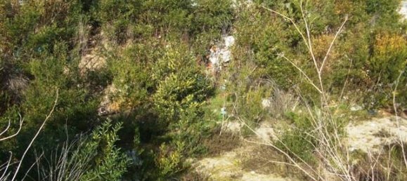 Terrain à Anha, Portugal No. 71841 3