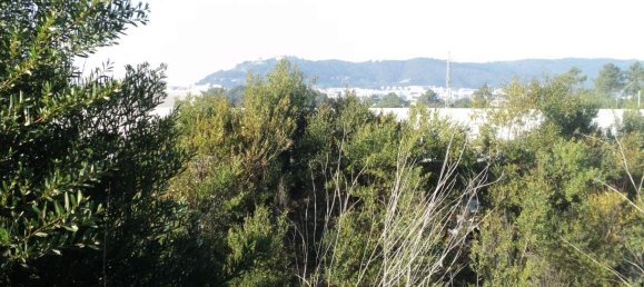 Terrain à Anha, Portugal No. 71841 20