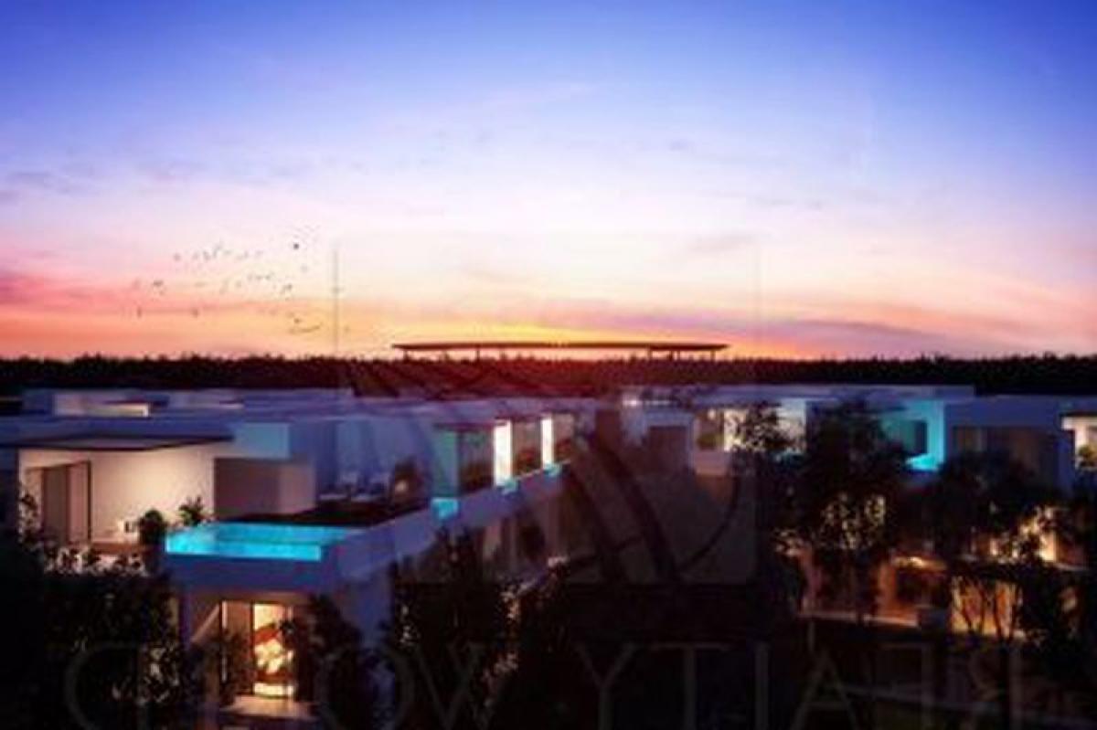 Studio in Quintana Roo, Mexico, Nr. 155038