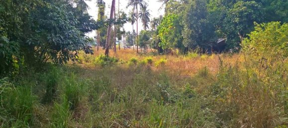  قطعة أرض في Pattaya, Thailand رقم 13305 3