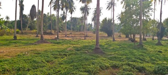  قطعة أرض في Pattaya, Thailand رقم 13305 5