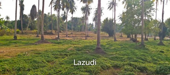  Commercial property in Pattaya, Thailand No. 13305 2