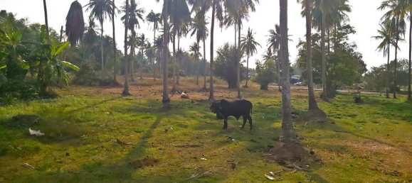  قطعة أرض في Pattaya, Thailand رقم 13305 4